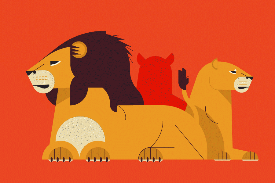Lions illustration
