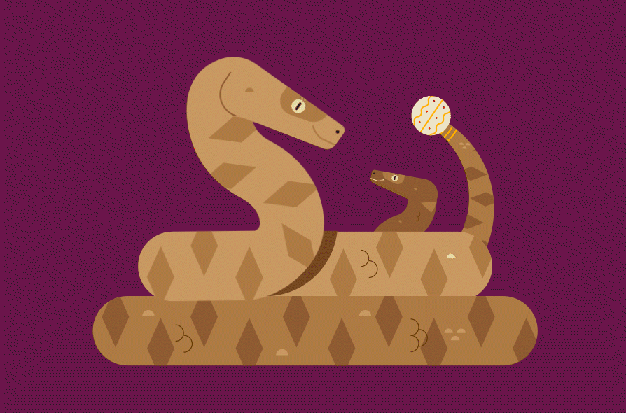 Rattle snake illustration