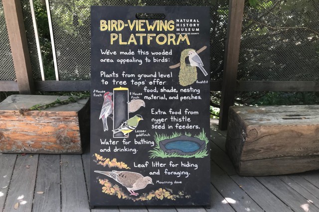 Chalkboard sign listing bird species at bird watching platform