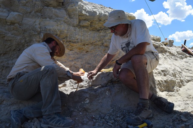Two NHM staff working in fine detail on an excavation site