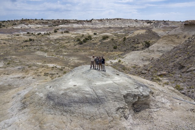 Group of NHM staff in the Grand View site