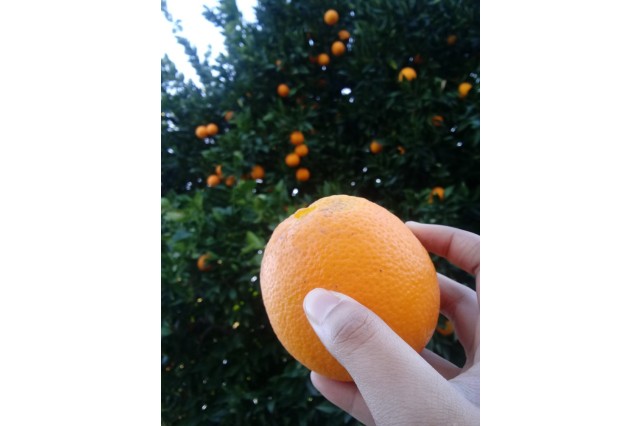 Nia holding orange