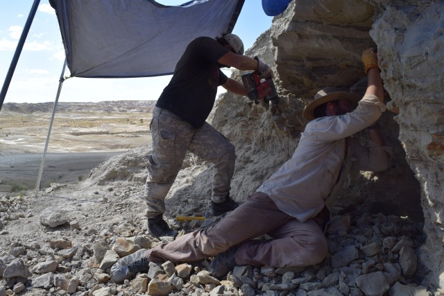 Two NHM preparators working close up on an excavation