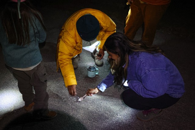 People bending down collection a specimen with a spoon