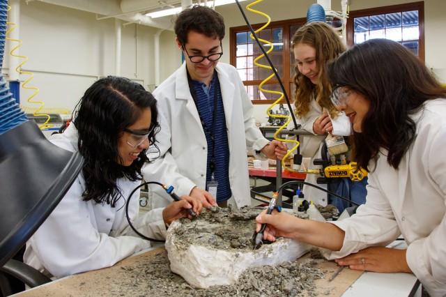 Students doing fossil prep in the VP lab