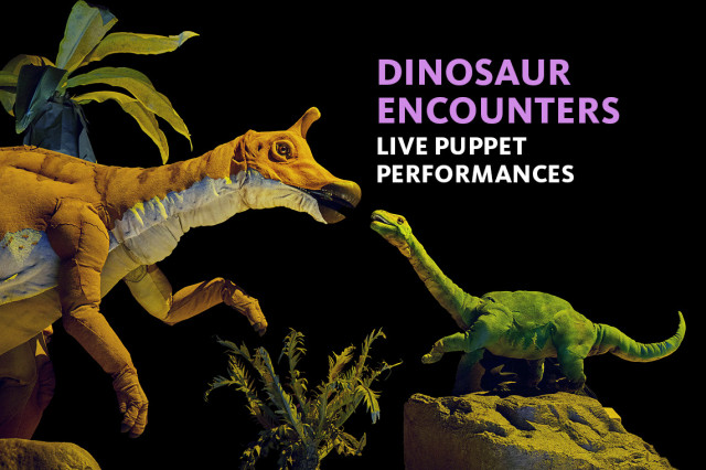 Horned dinorsaur puppet facing a smaller long-necked green dinosaur puppet