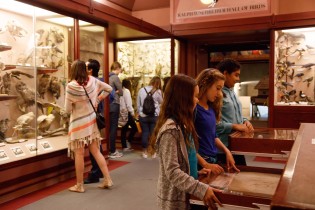 Girls looking in a drawer at a fossil as a couple in background looks at birds in case