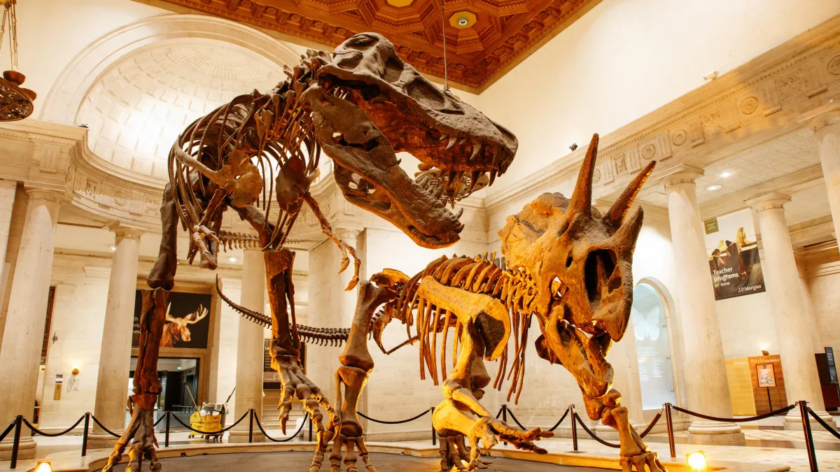 Dueling Dinos | Natural History Museums of Los Angeles County