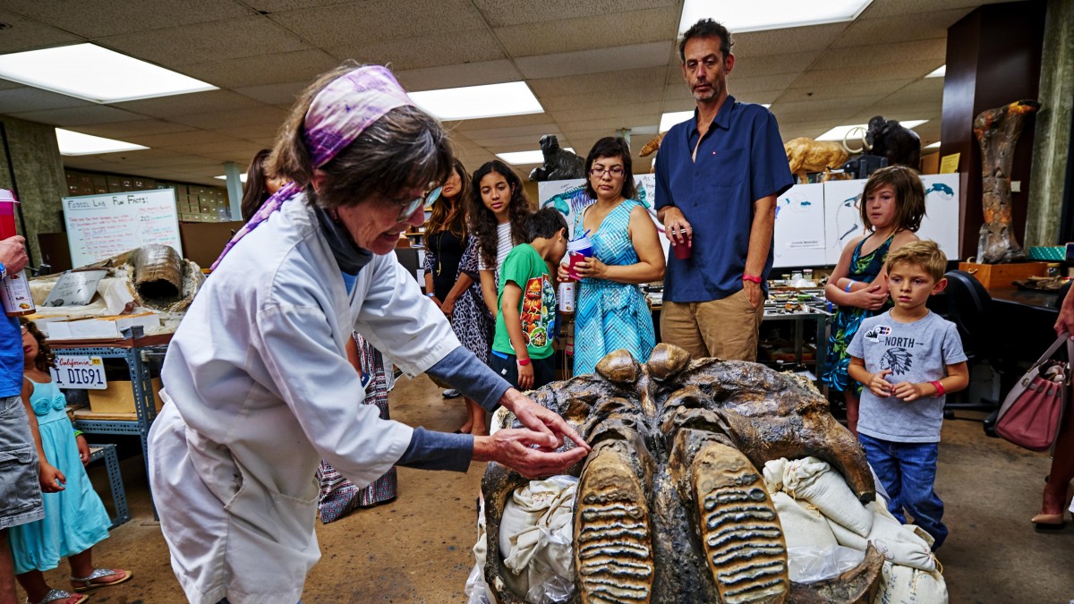 junior-scientist-exploring-the-fossil-lab-natural-history-museums