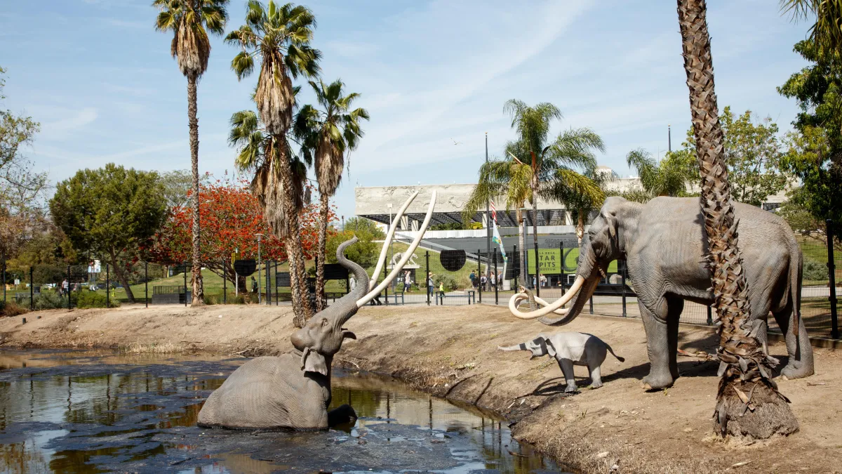 la brea dinosaur museum