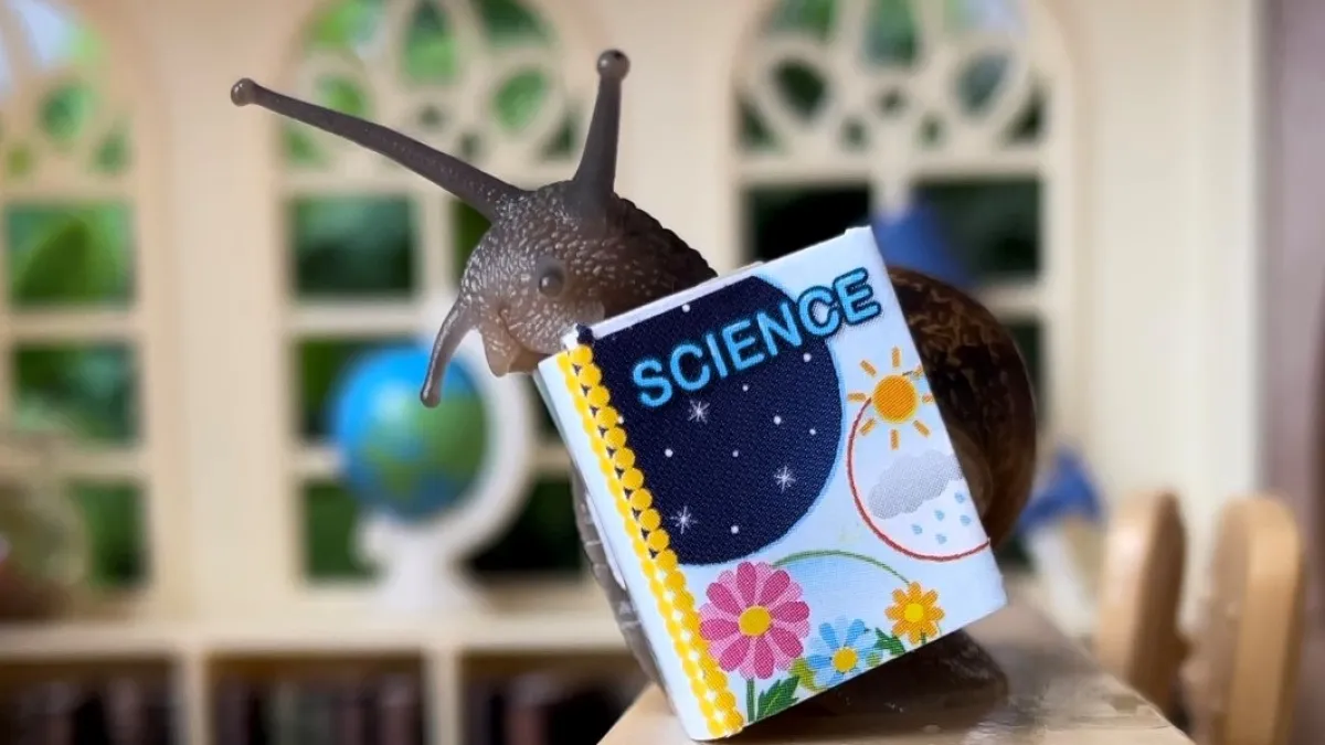 SLIME Survey | Natural History Museums of Los Angeles County