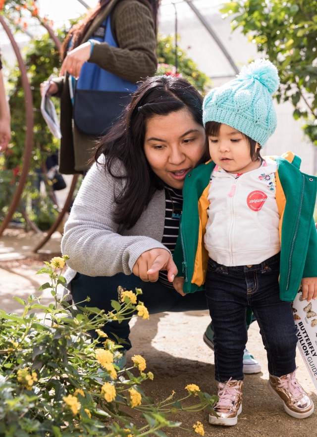 mother and child members in butterfly pavilion