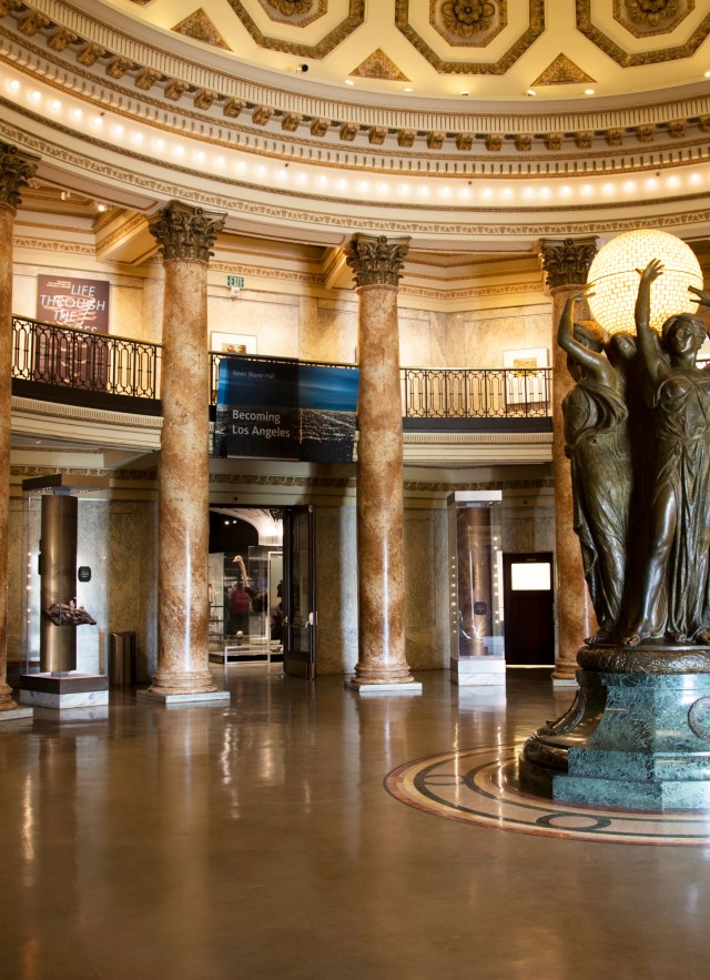 rotunda at NHM