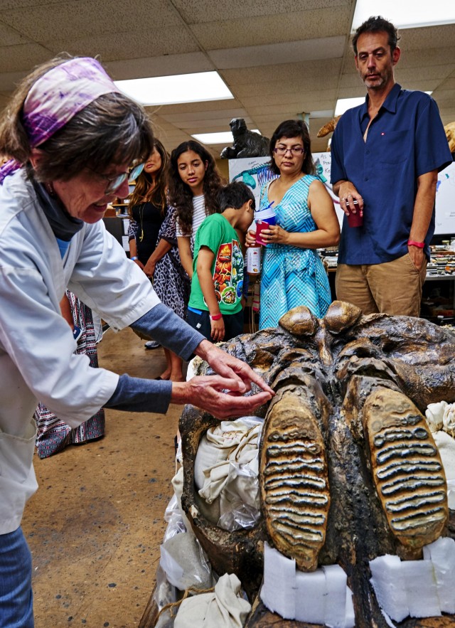 junior-scientist-exploring-the-fossil-lab-natural-history-museums