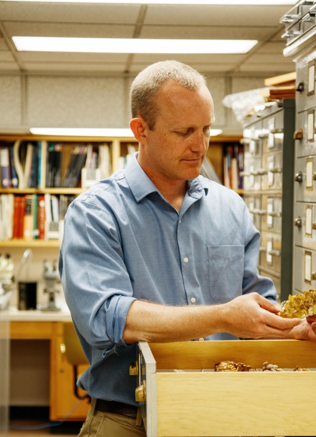 aaron celestian in gem collections