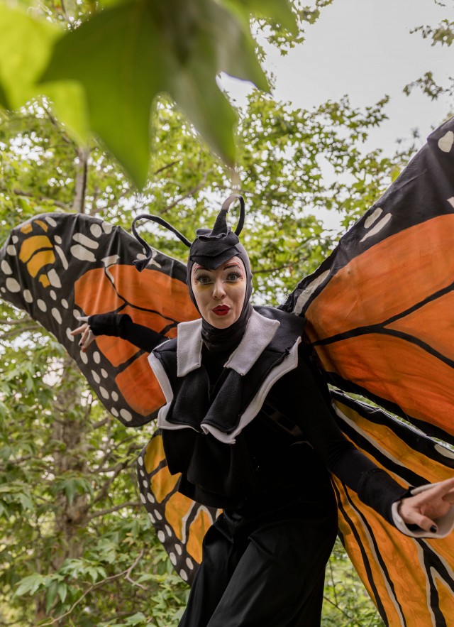 Butterfly Costume at Bug Fair Festival