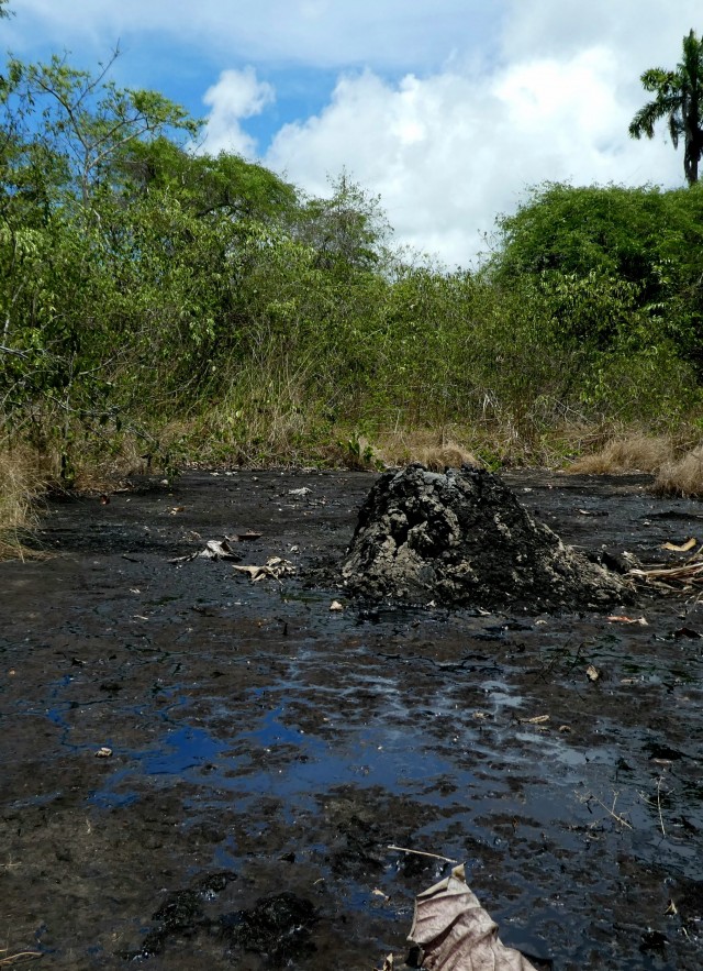 Wild tar pit in Trinidad