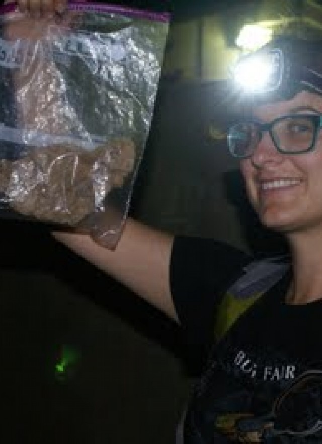 Bag, Gecko,Headlight, Community science