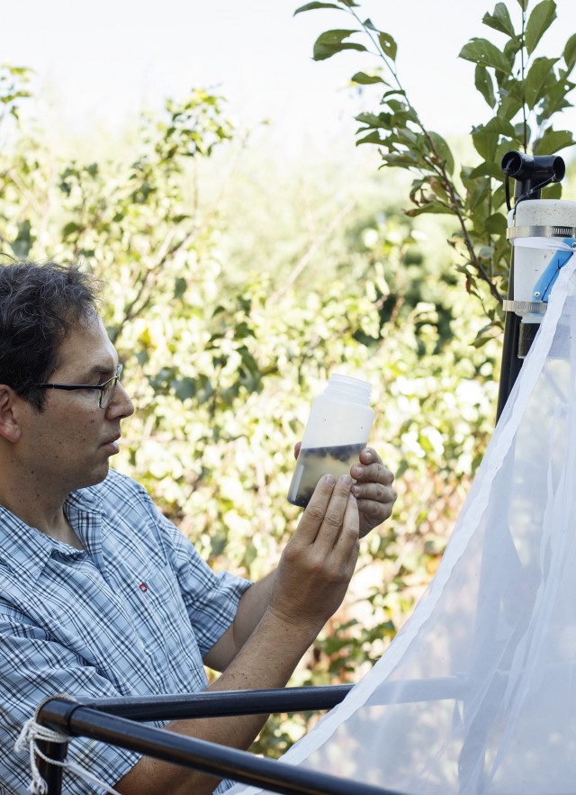 Dr Brian Brown (Entomology) examining his work in the field