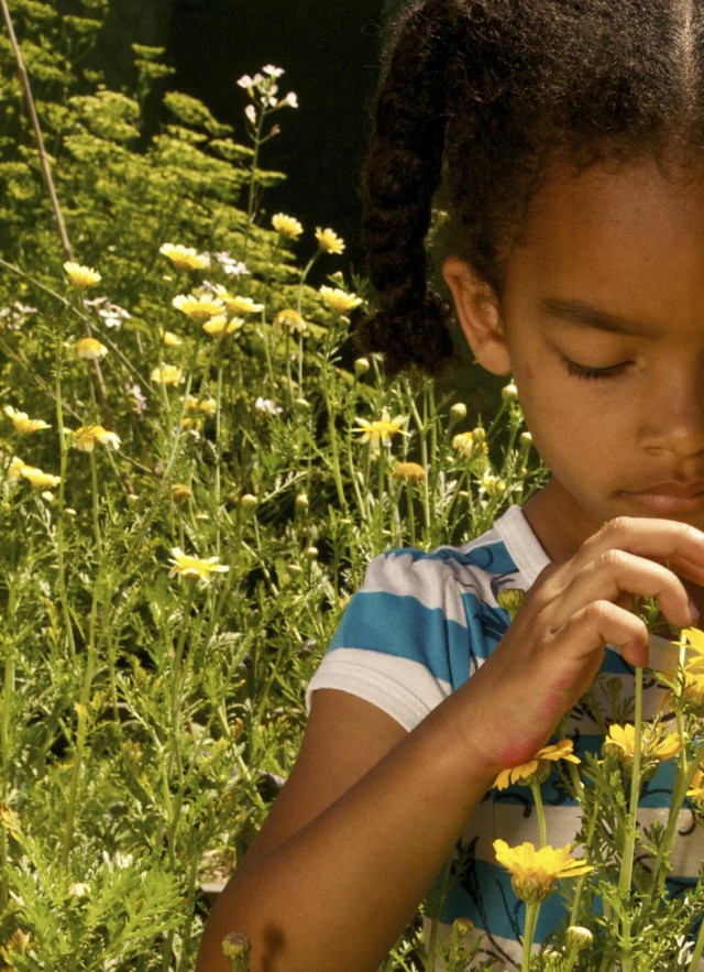 kid explores nature in backyard