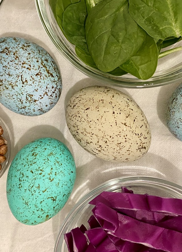 4 speckled eggs on a table surrounded by spinach, nuts, and cabbage
