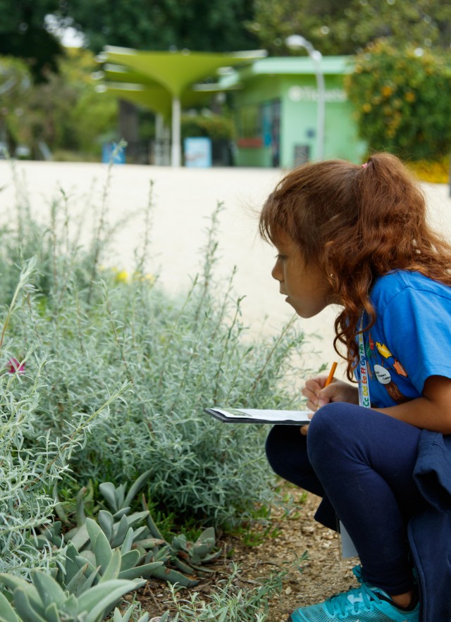 The Outdoor Scientist: The Wonder of Observing the Natural World