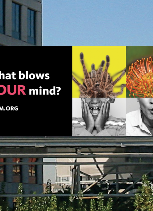 MindblownLA billboard