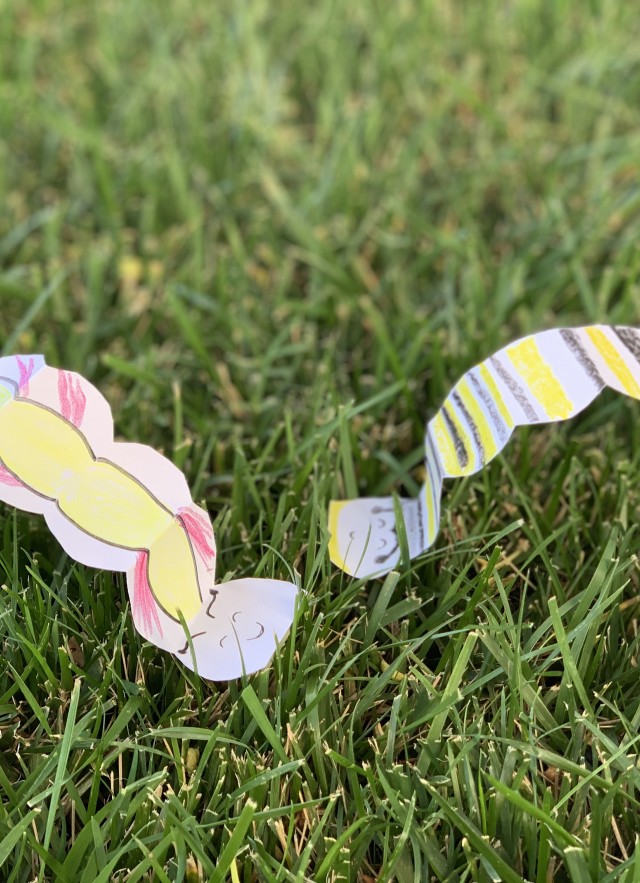 Caterpillar Races activity - finished craft