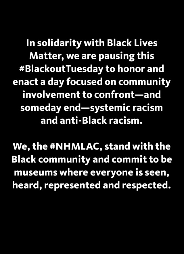 nhmlac blackout tuesday header image