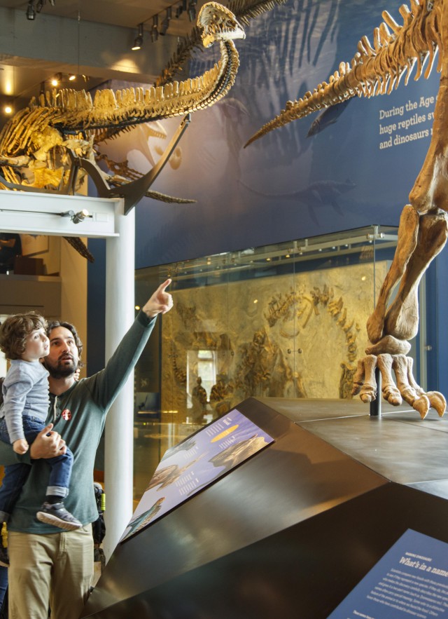 Member Father and son inside Dino Hall