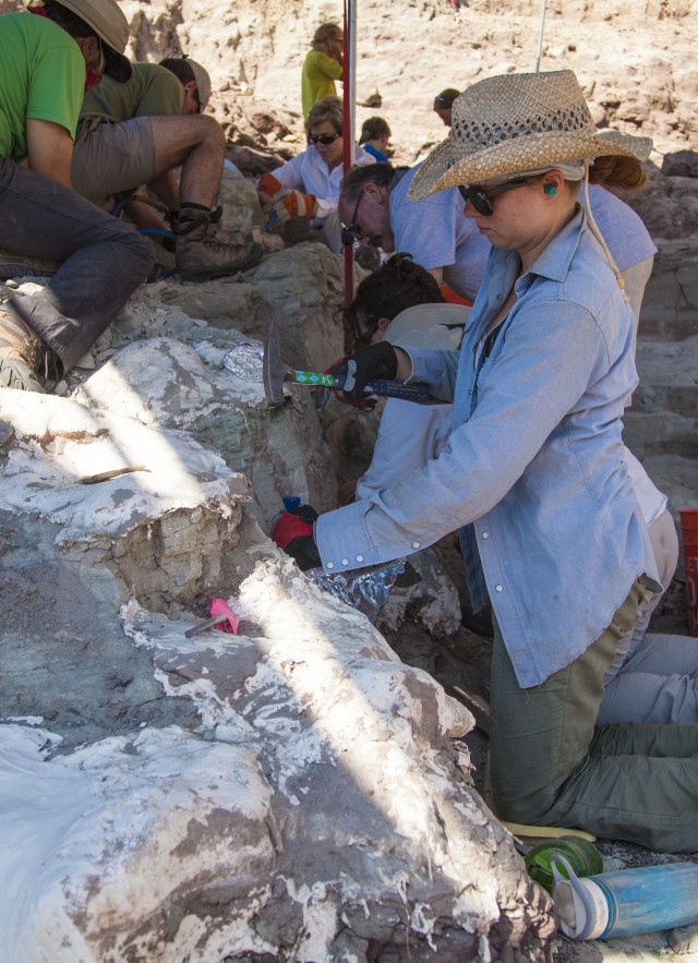 Dr. Alyssa Bell working on an excavation site
