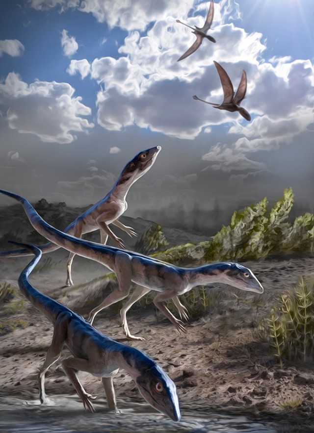 Dig Deeper Into Pterosaurs' Evolutionary Flight Path | Natural History Museums of Los Angeles County