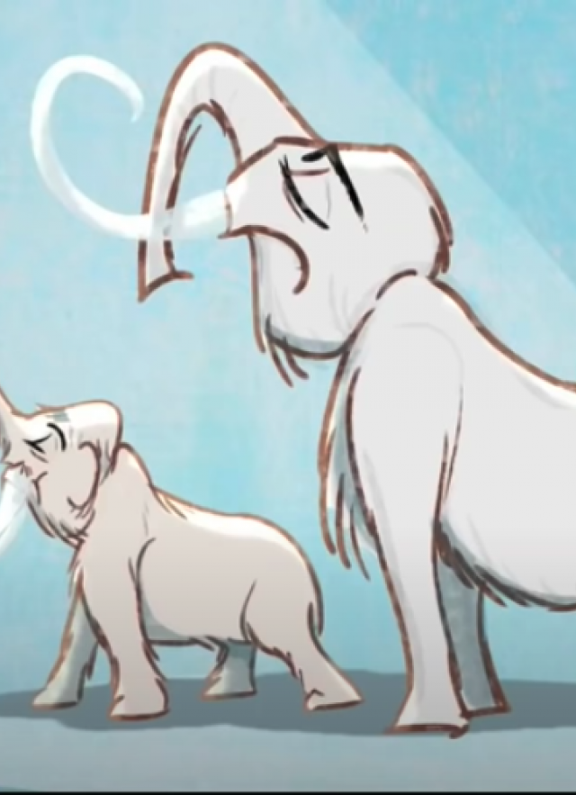 Two mammoths standing in spotlight and side by side to demonstrate difference in size. Smaller mammoth on the left and larger mammoth on the right. 