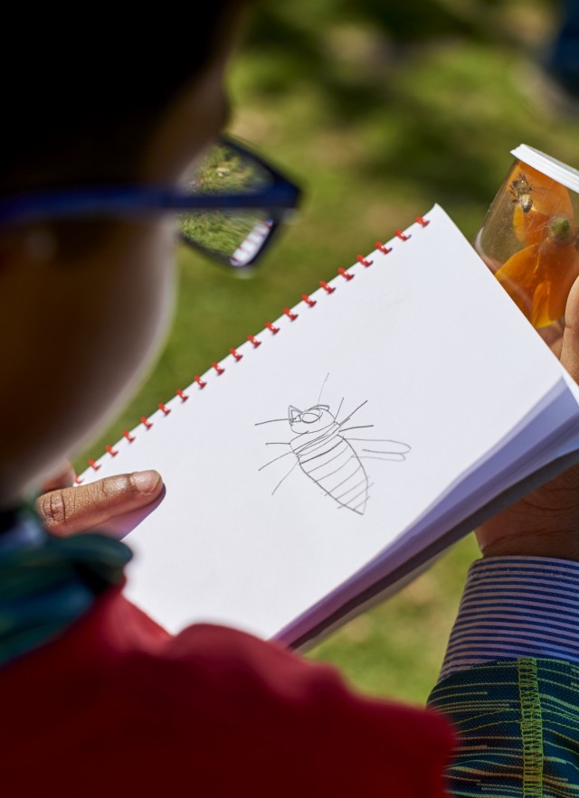 Image of AIN camper observing insect in a glass.