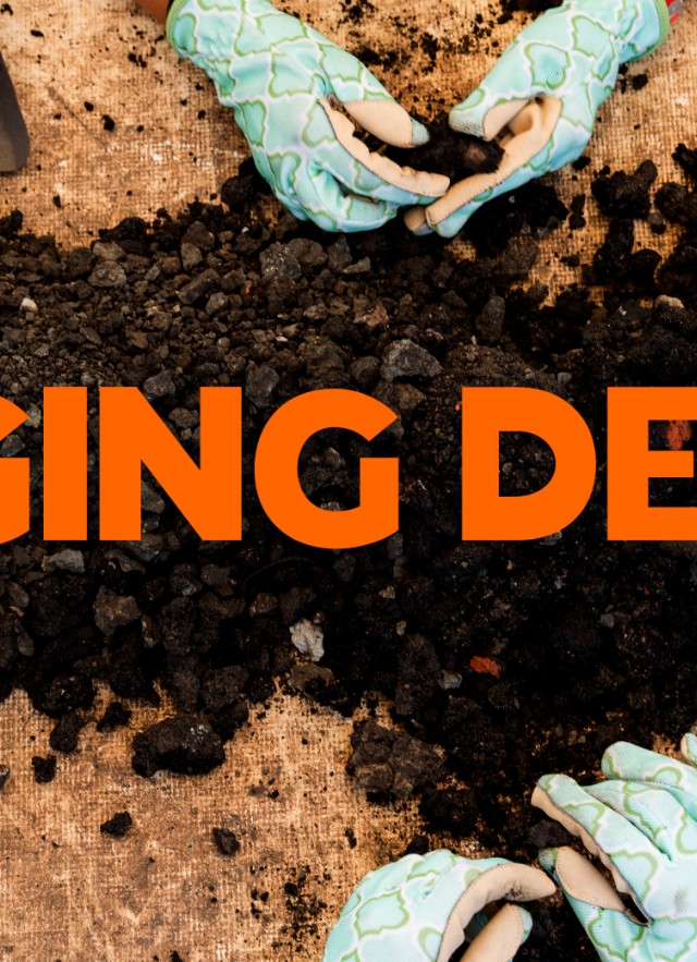 Digging Deeper Member Program Key Art