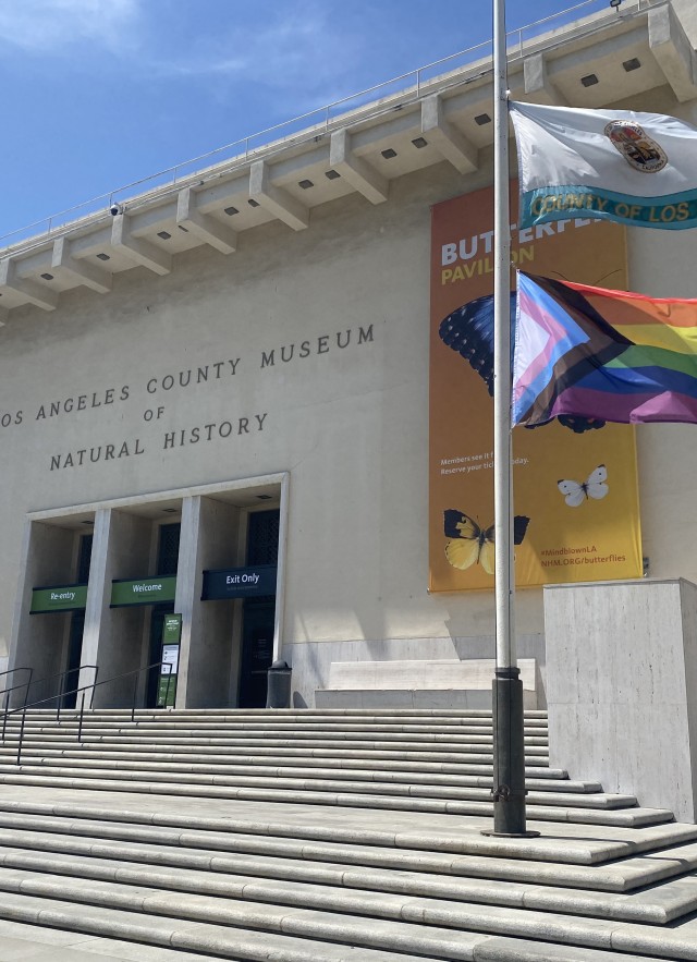 Museum with progress flag at forefront