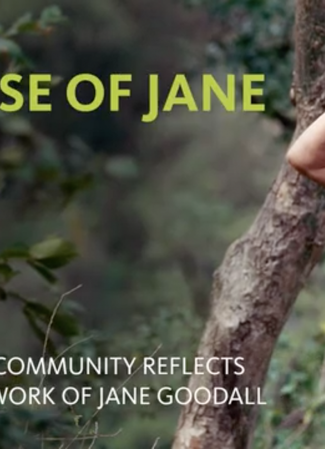 Because of Jane Becoming Jane Video Series
