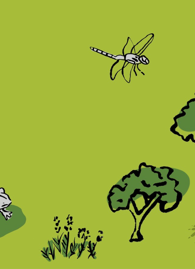 Graphic of trees and insects