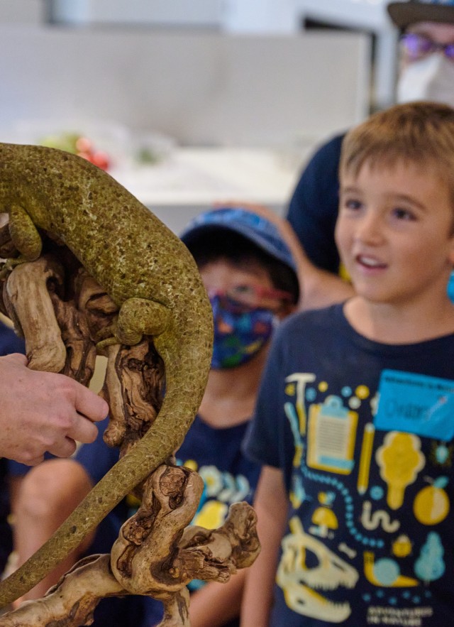 Camper smiles and looks at lizard