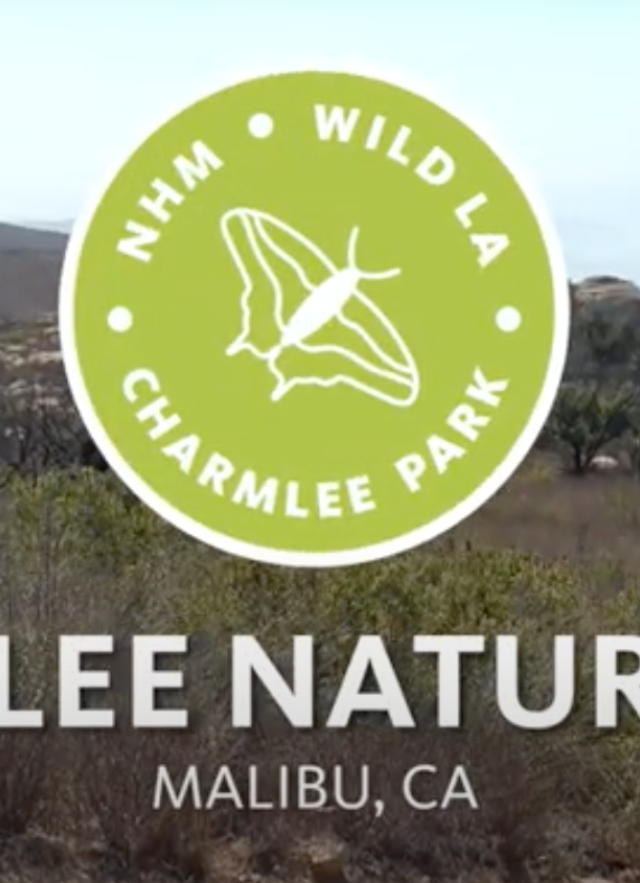 Charmlee Nature Walk