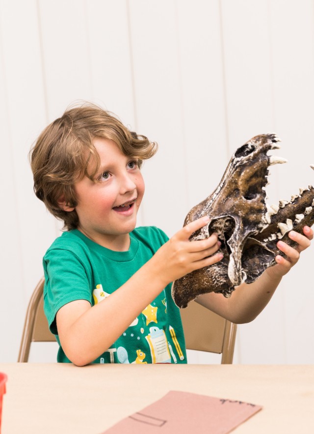 child in green shirt holds up brown skull with open jaw