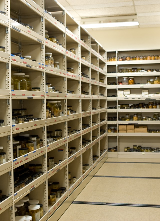 The vast collection of crustaceans of the Natural History Museum of Los Angeles County