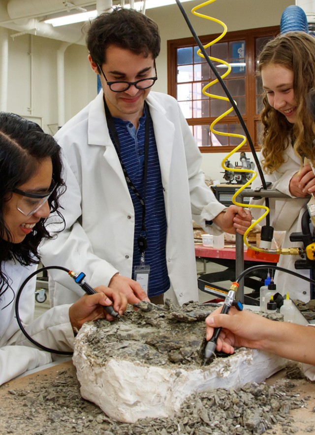 Students doing fossil prep in the VP lab