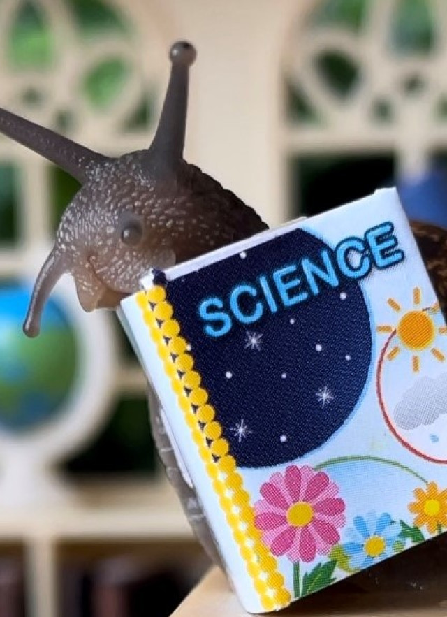 Snail in a tiny desk with a tiny science notebook
