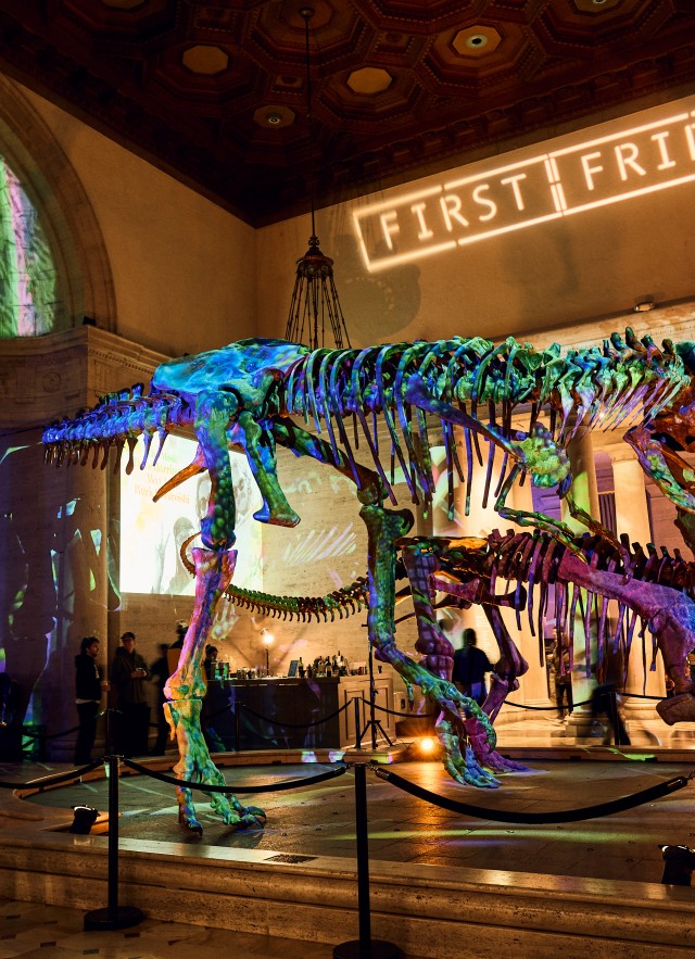 Dinosaur skeletons with First Fridays projected in white letters in the background