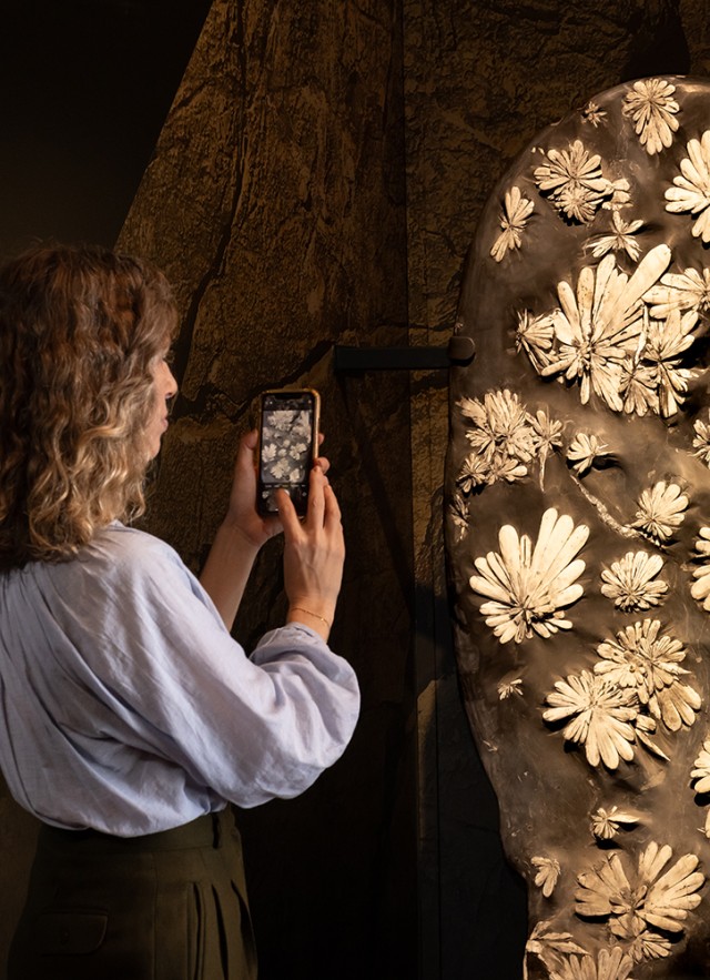Visitor taking a photo with a cellphone photo a gray stone with white flower-like shapes