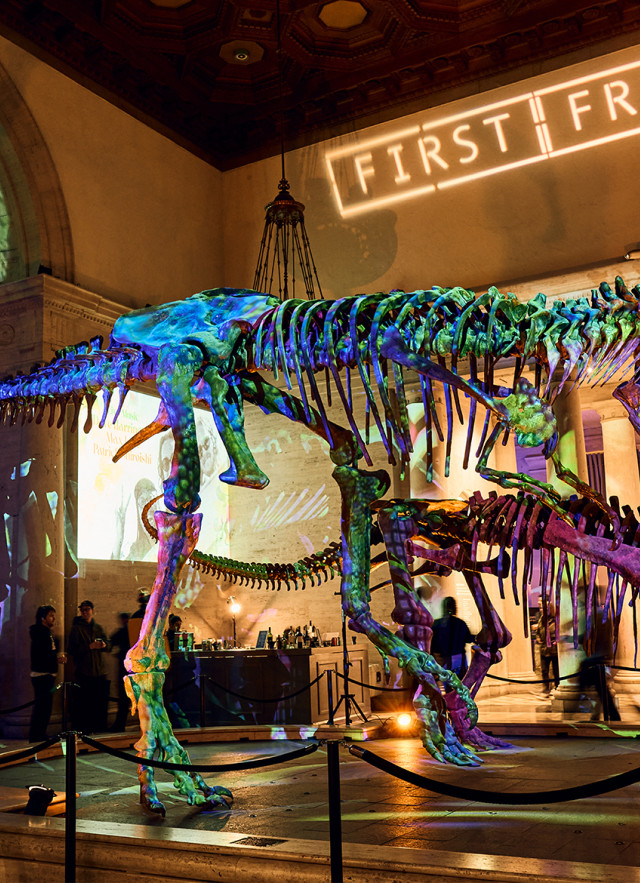 Two dinosaur skeletons with green and purple light projected over them and First Fridays projected on the wall behind them