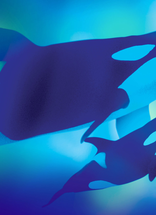 Two black and white orcas swimming in a green, blue, and purple field of color