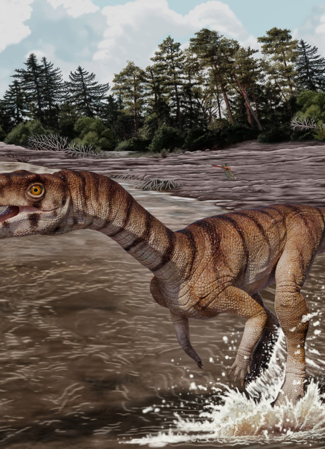 A bipedal reptile with stripes wading through a muddy river