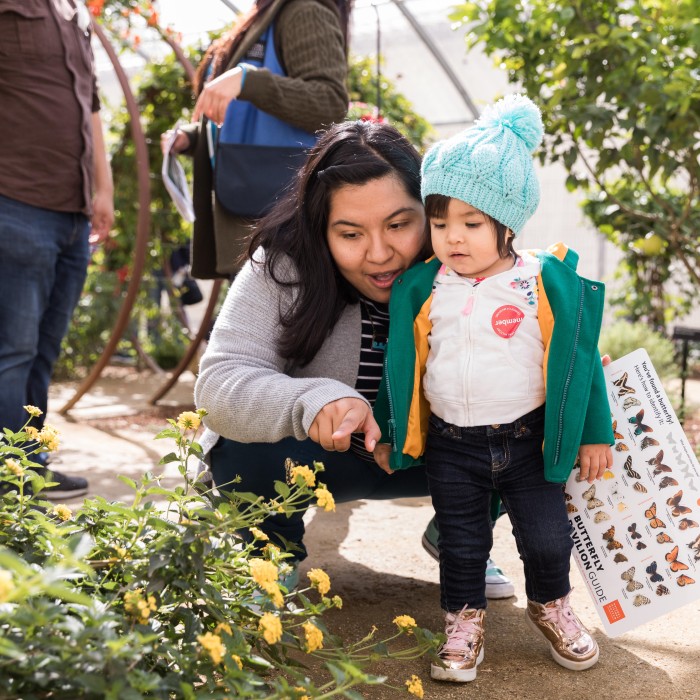 mother and child members in butterfly pavilion